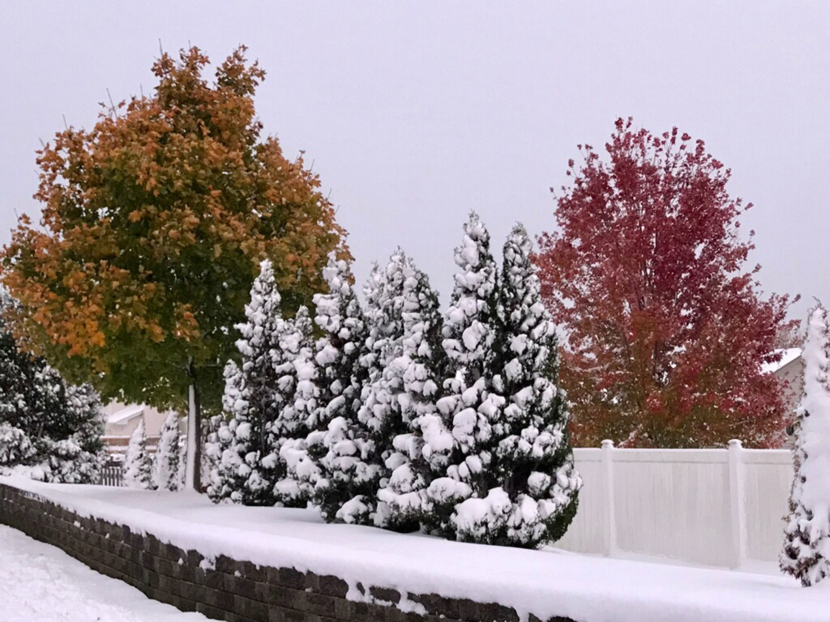 snow.jpg